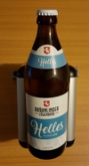 Bräunlinger Löwenbräu Helles